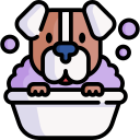 dog-wash